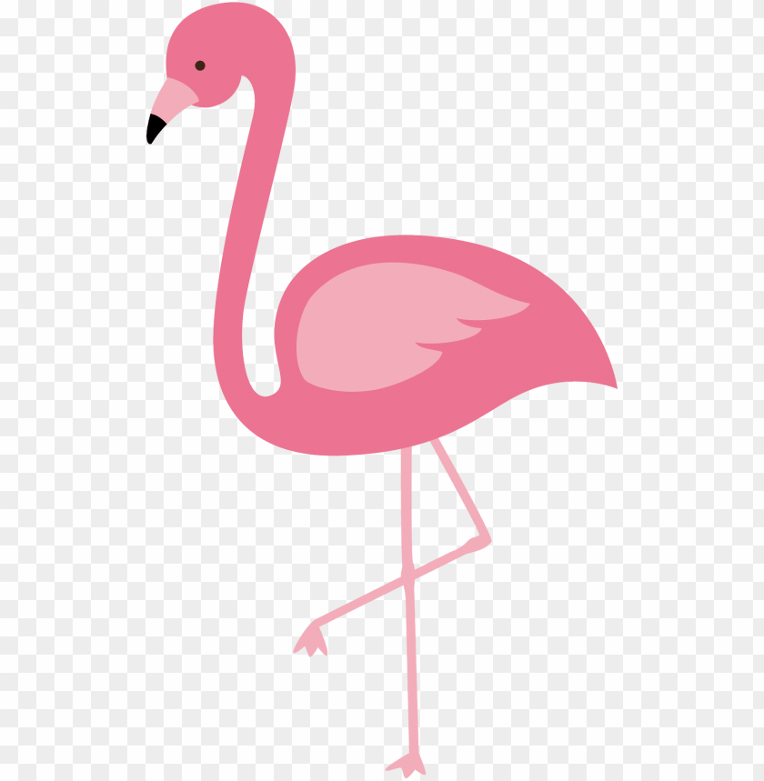 Detail Flamingo Transparent Nomer 7