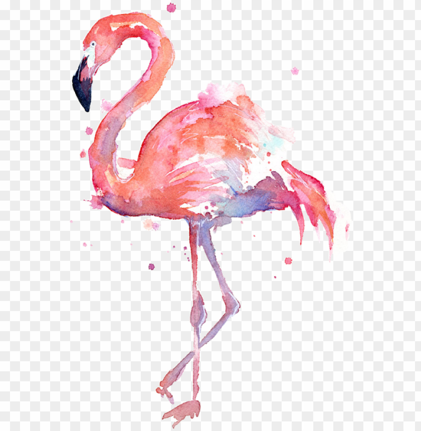 Detail Flamingo Transparent Background Nomer 26