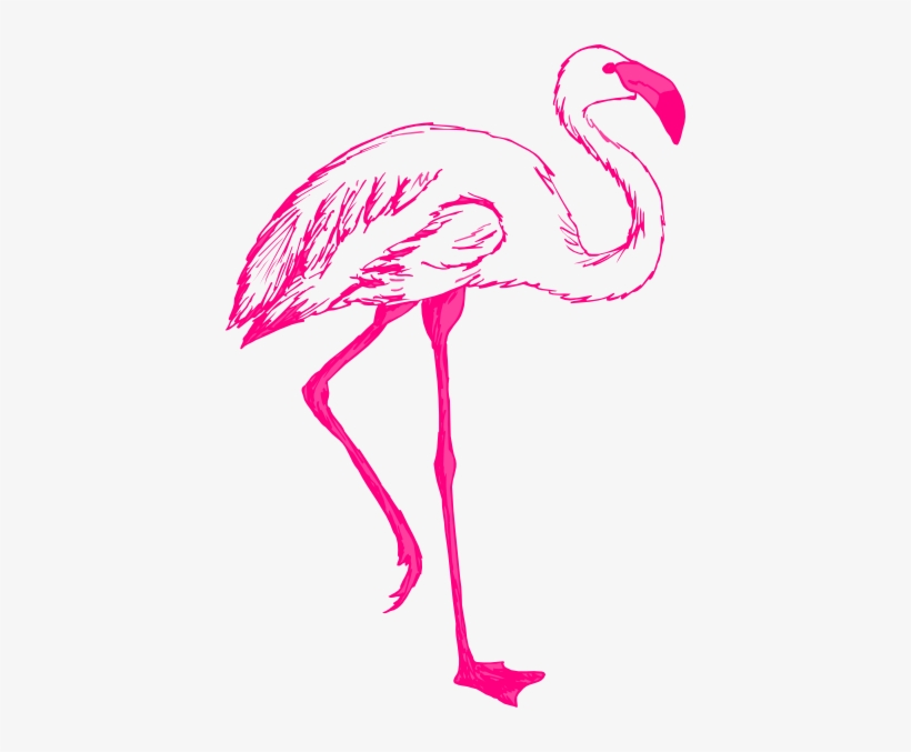 Detail Flamingo Transparent Background Nomer 27