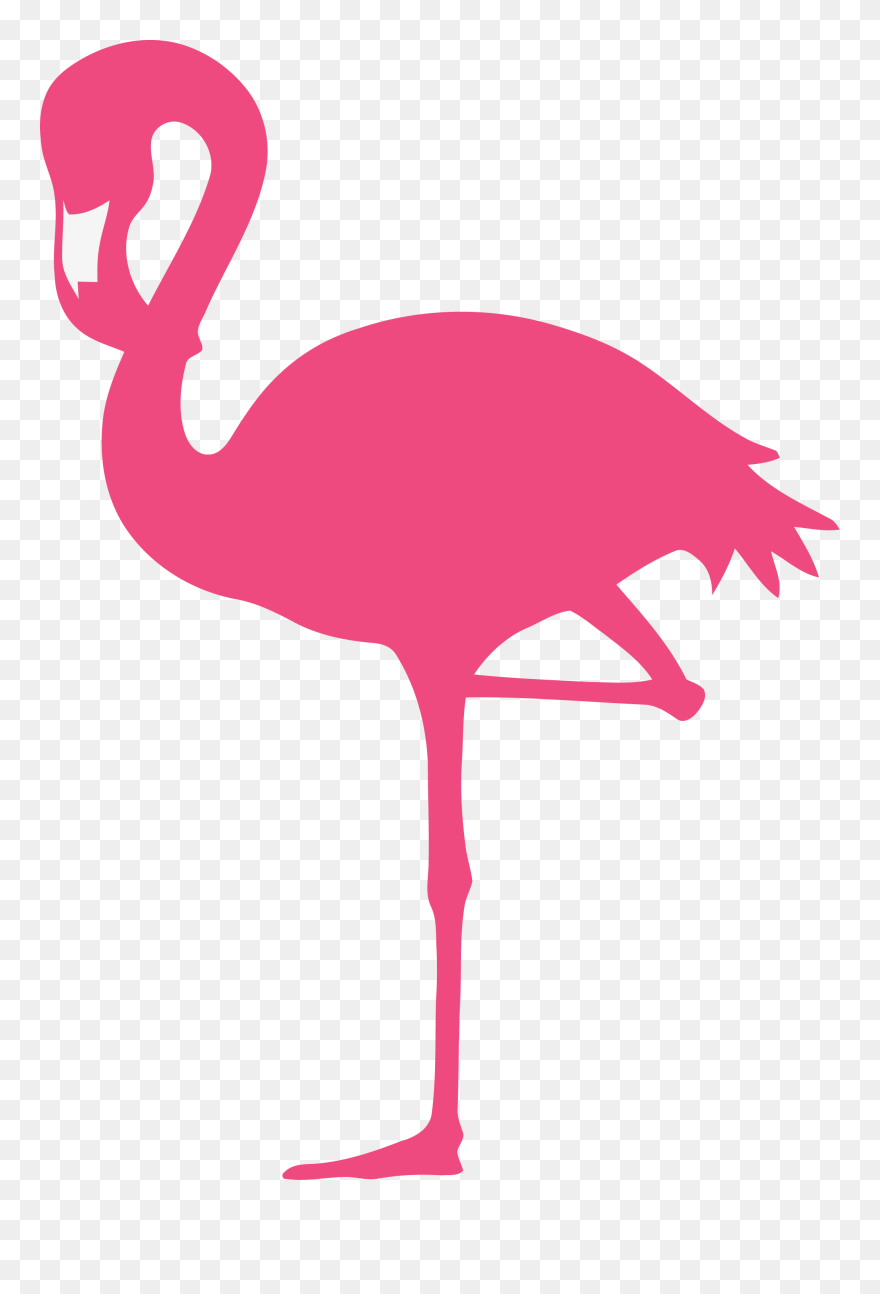 Detail Flamingo Transparent Background Nomer 28