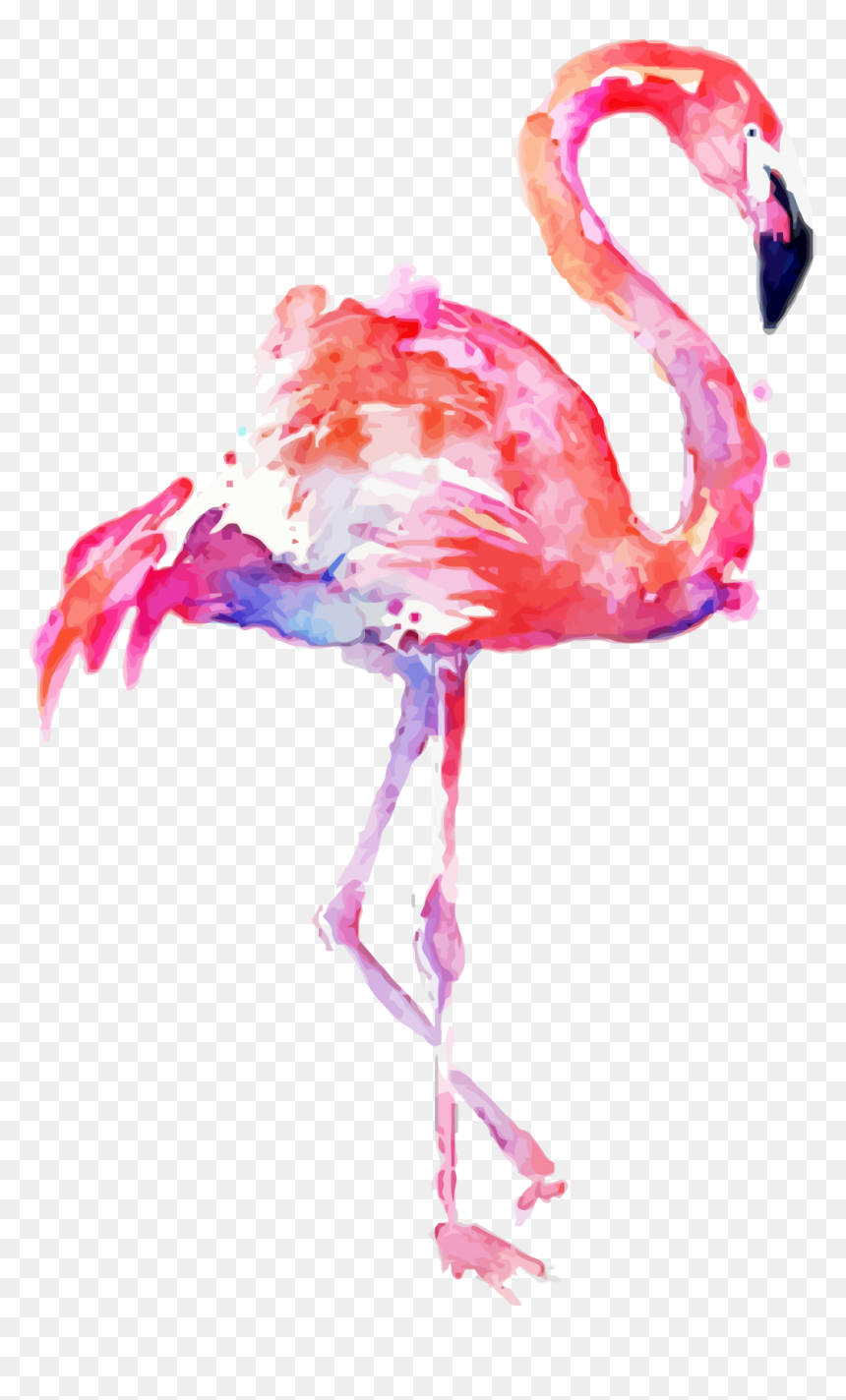 Detail Flamingo Transparent Background Nomer 31