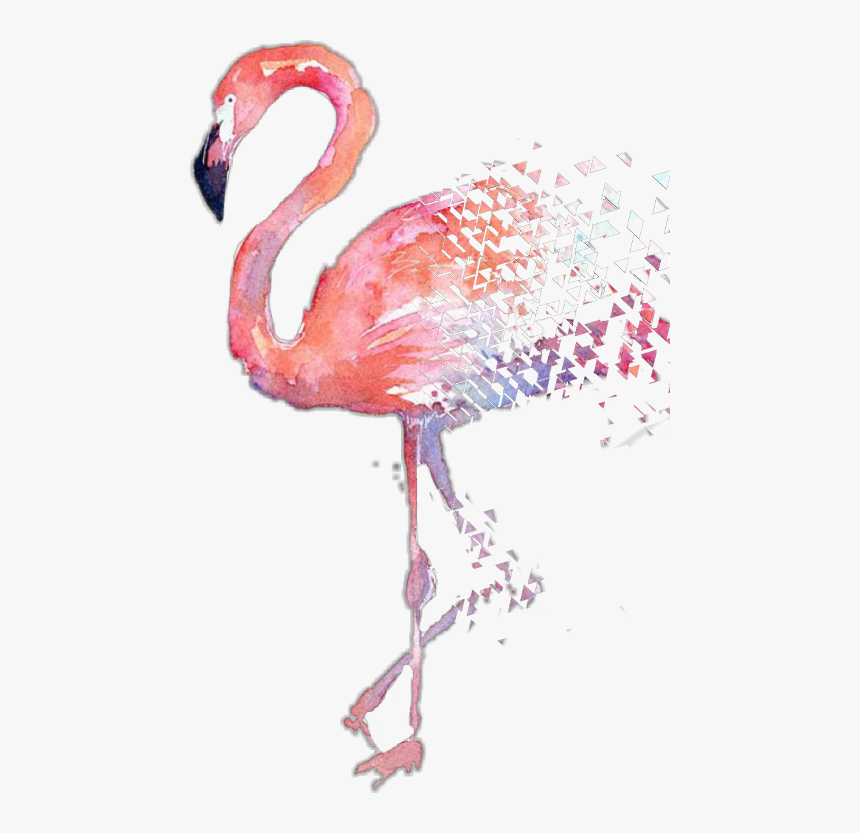 Detail Flamingo Transparent Background Nomer 35