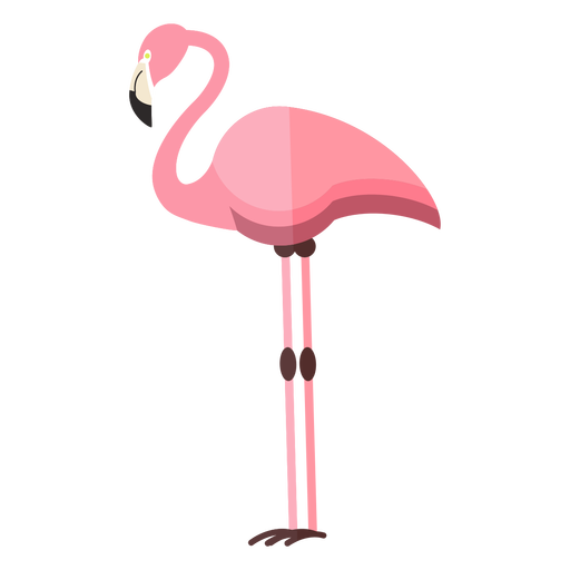 Detail Flamingo Vector Png Nomer 14