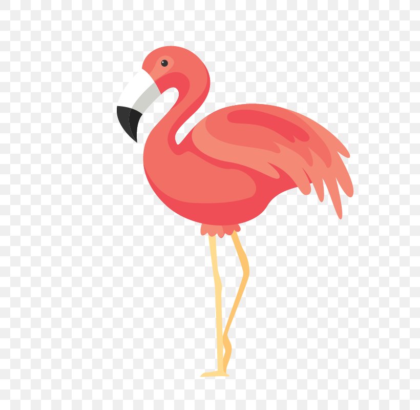Detail Flamingo Vector Png Nomer 25