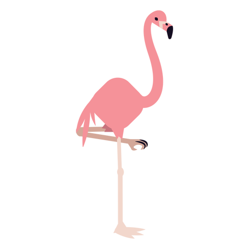 Detail Flamingo Vector Png Nomer 47