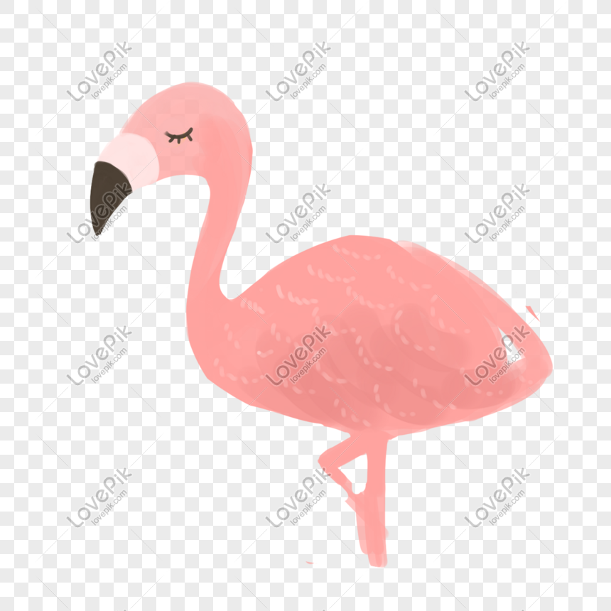 Detail Flamingo Vector Png Nomer 50