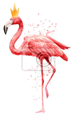 Detail Flamingo With Crown Clipart Nomer 31