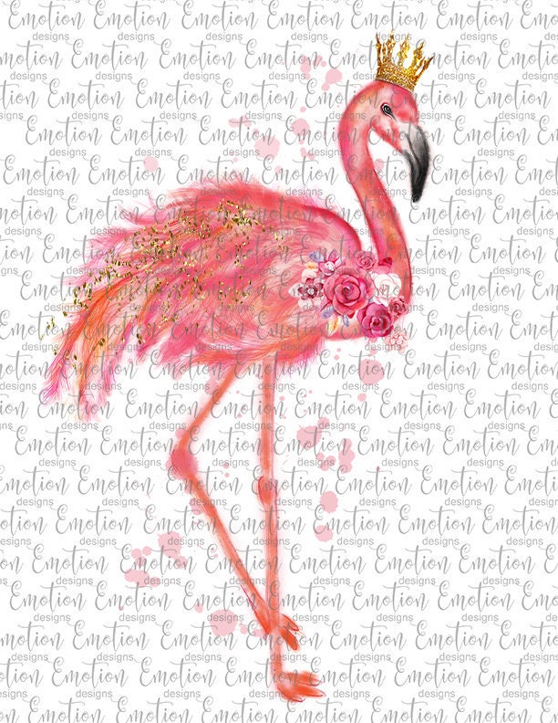 Detail Flamingo With Crown Clipart Nomer 43