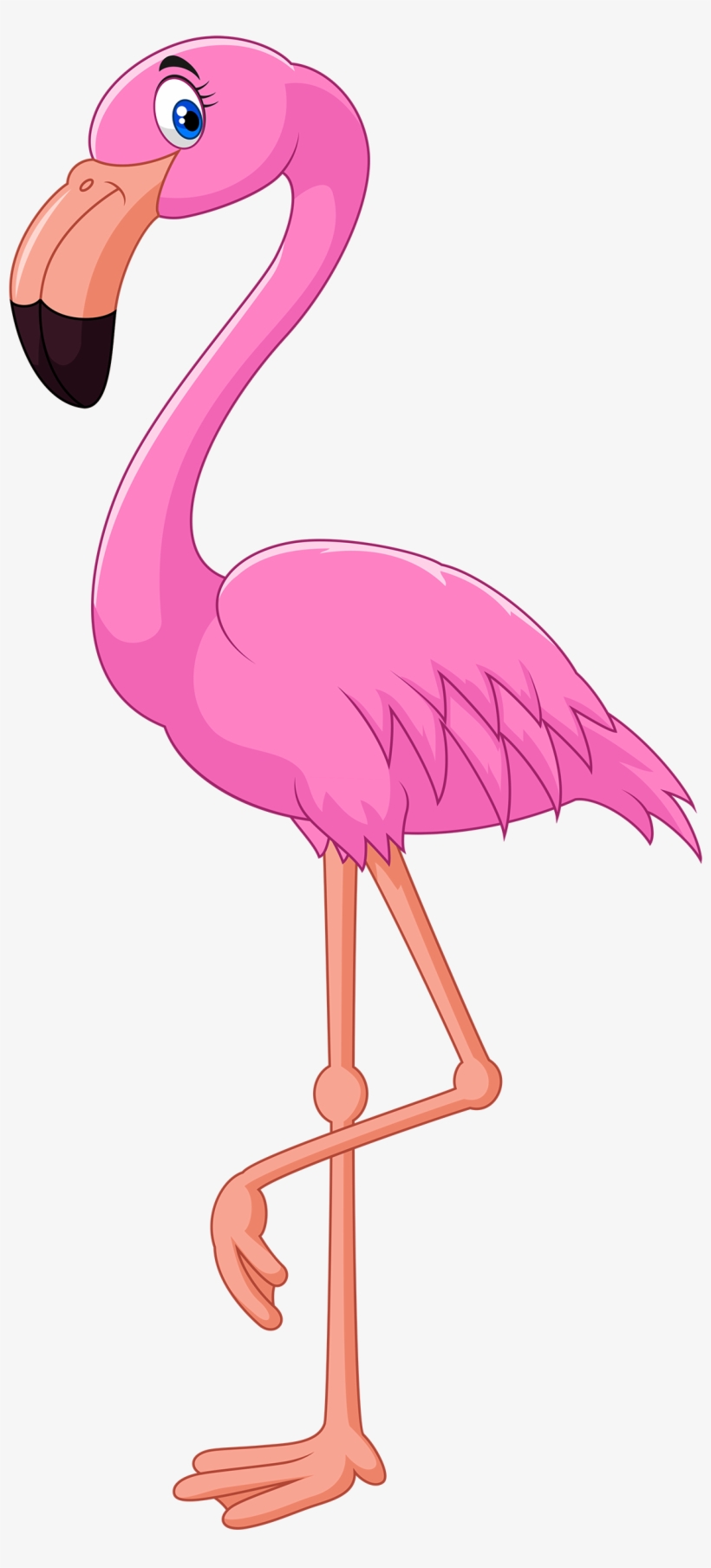 Flamingos Clipart - KibrisPDR