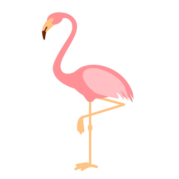 Detail Flamingos Clipart Nomer 22