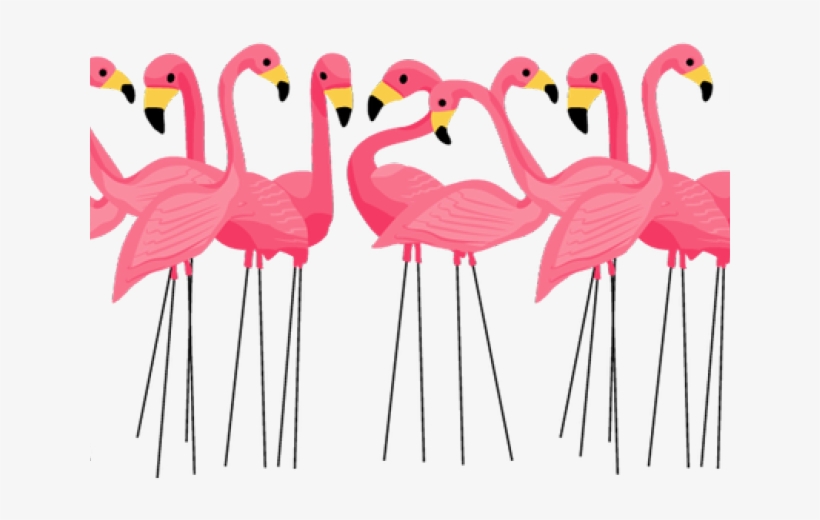 Detail Flamingos Clipart Nomer 43