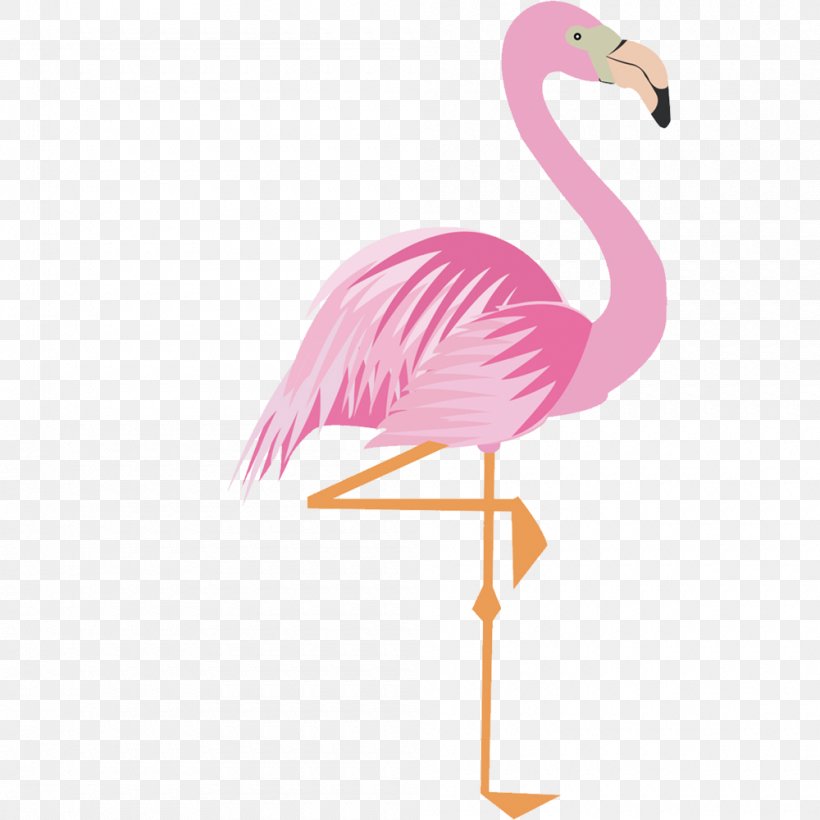 Detail Flamingos Png Nomer 14