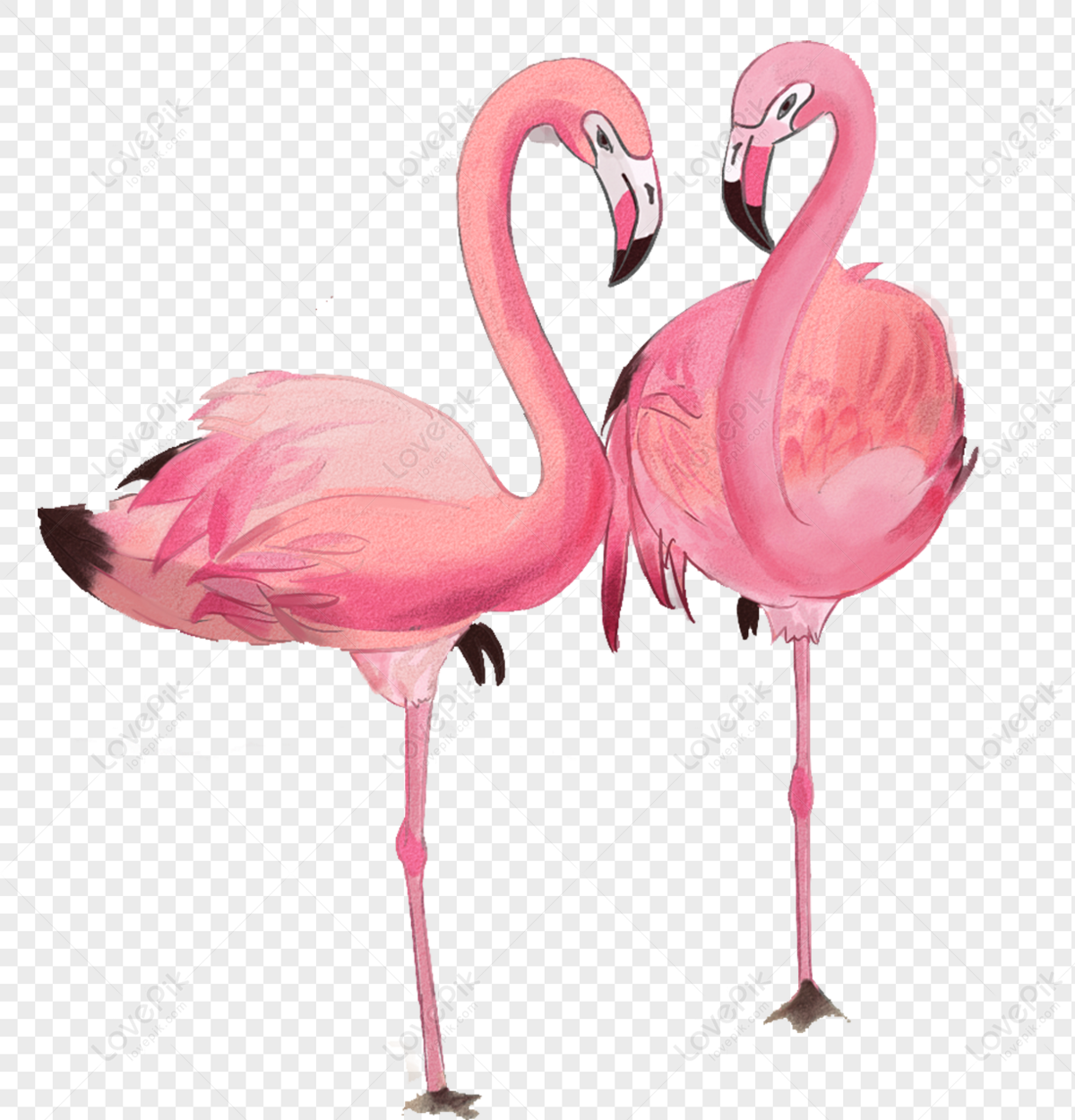 Detail Flamingos Png Nomer 48