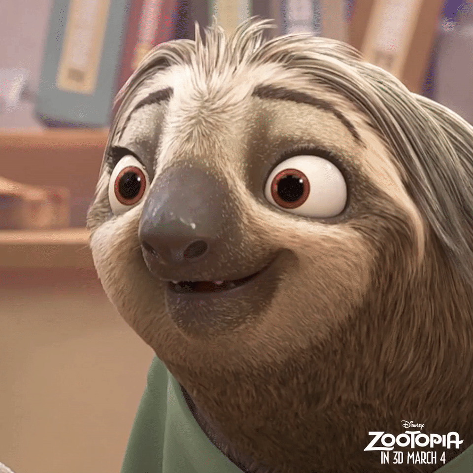 Detail Flash Sloth Meme Nomer 15