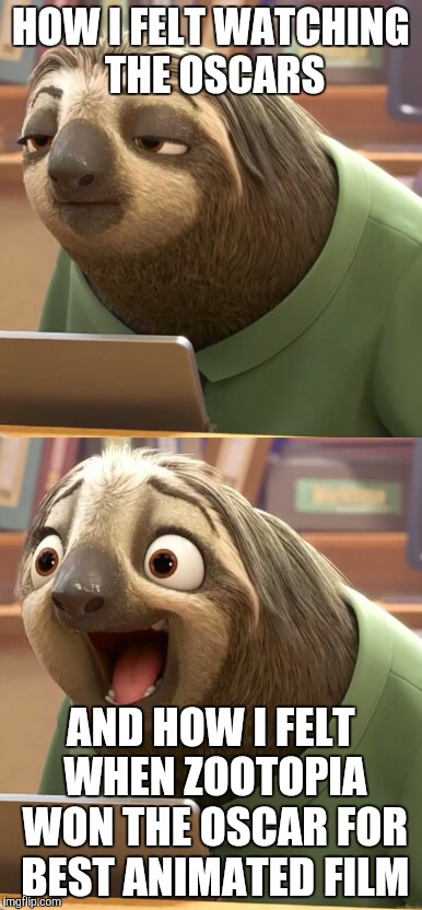 Detail Flash Sloth Meme Nomer 21
