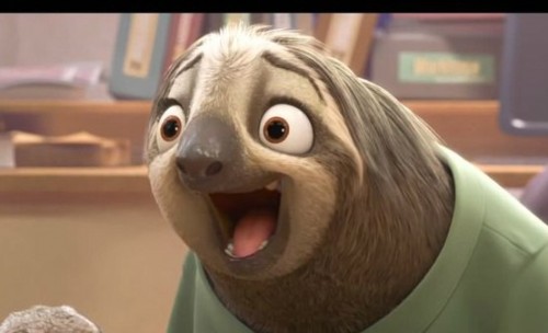 Detail Flash Sloth Meme Nomer 27
