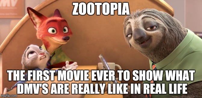 Detail Flash Sloth Meme Nomer 32
