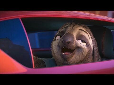 Detail Flash Sloth Meme Nomer 34
