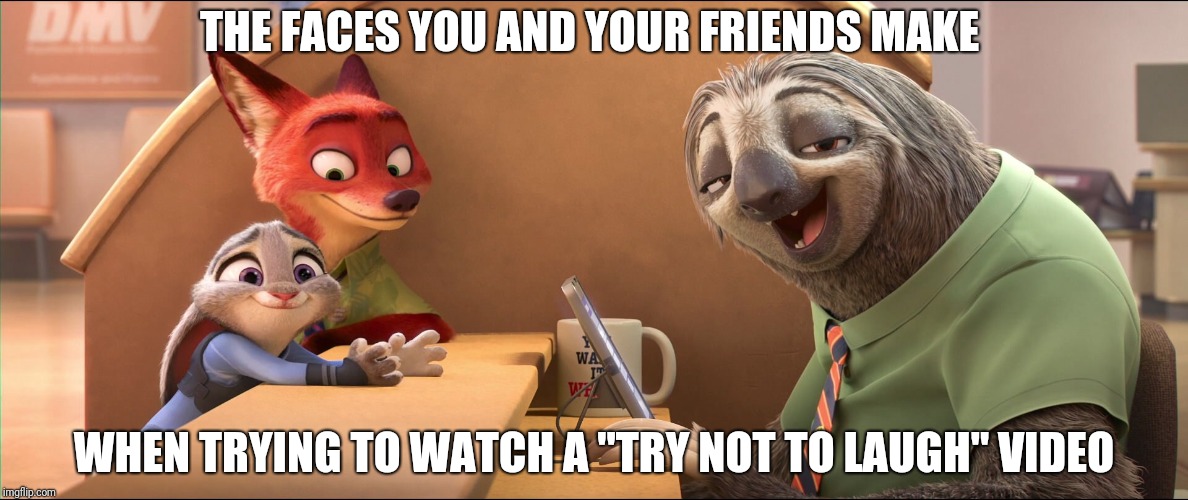 Detail Flash Sloth Meme Nomer 35