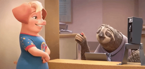 Detail Flash Sloth Meme Nomer 38