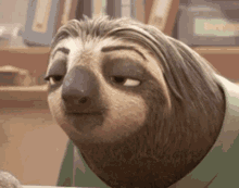 Detail Flash Sloth Meme Nomer 5