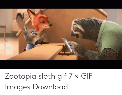 Detail Flash Sloth Meme Nomer 43