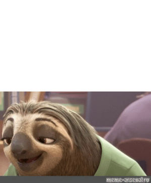 Detail Flash Sloth Meme Nomer 53