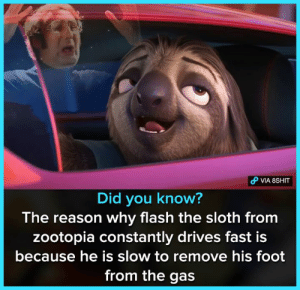 Detail Flash Sloth Meme Nomer 54