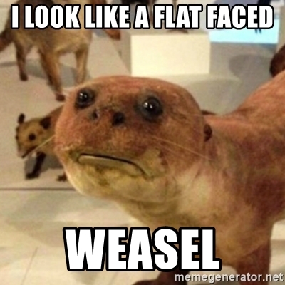 Detail Flat Face Meme Nomer 44