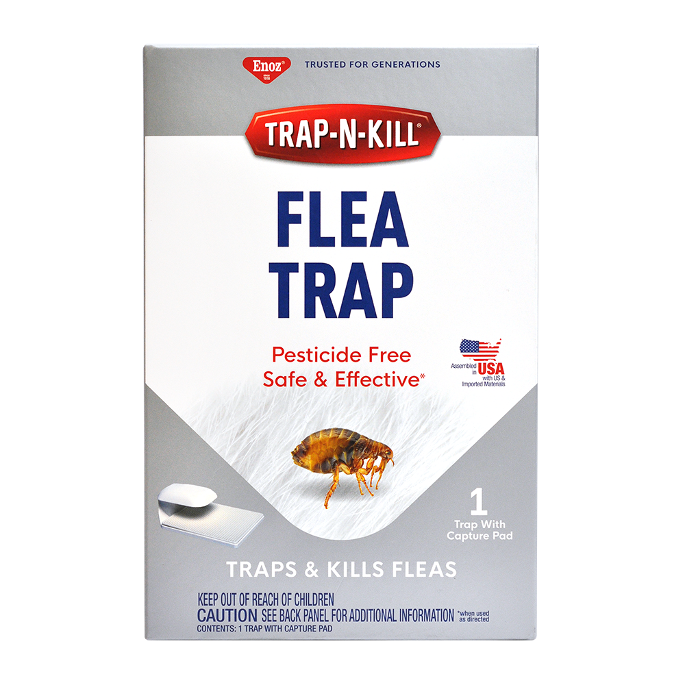 Detail Flea Trap Light Bulb Nomer 18
