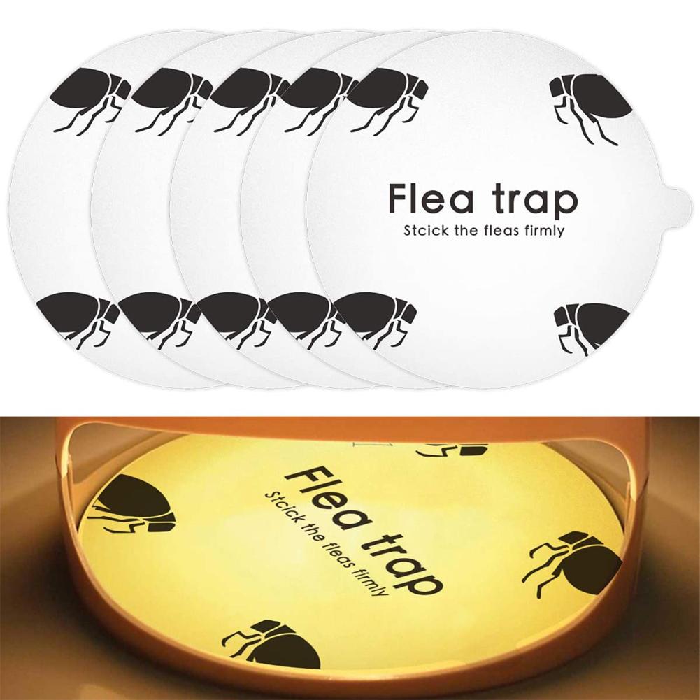 Detail Flea Trap Light Bulb Nomer 19