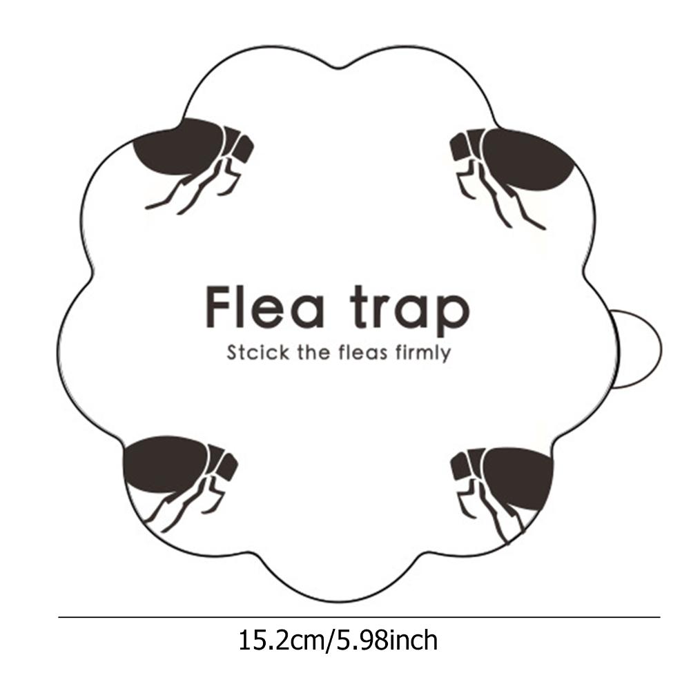Detail Flea Trap Light Bulb Nomer 20