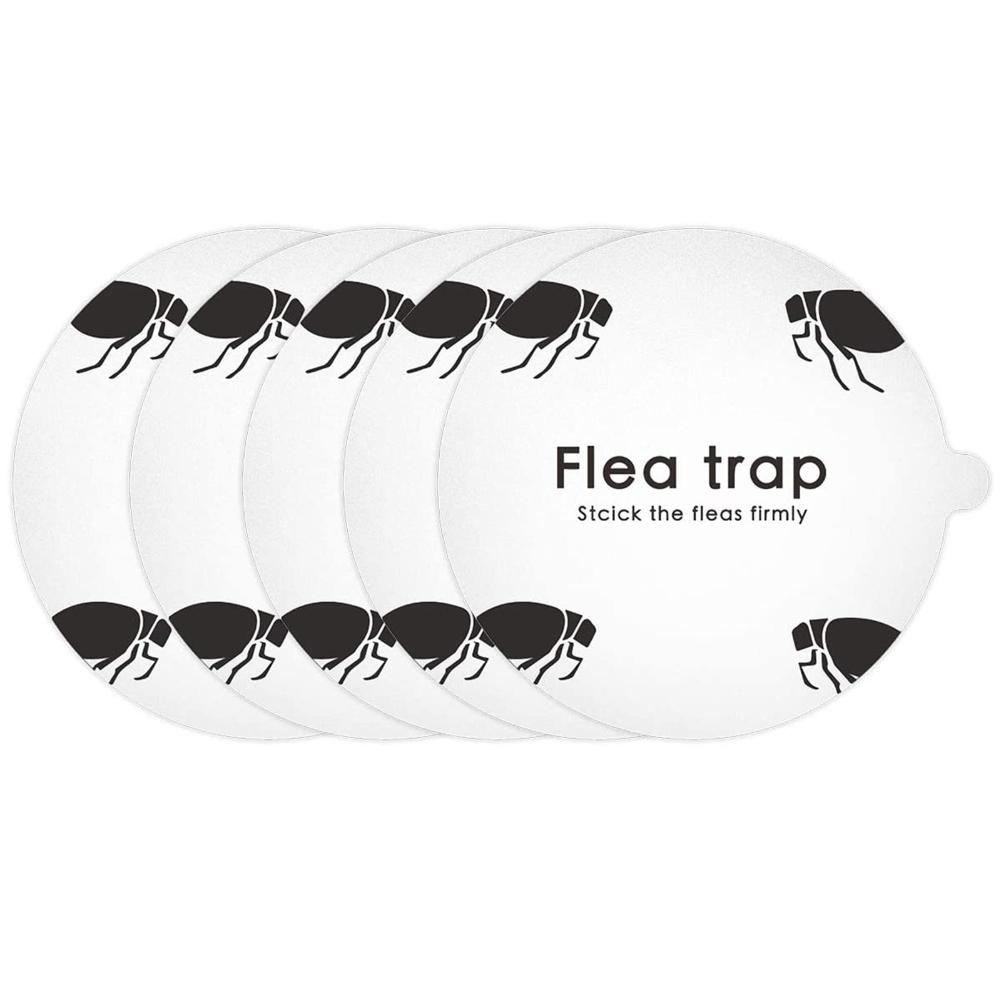 Detail Flea Trap Light Bulb Nomer 23