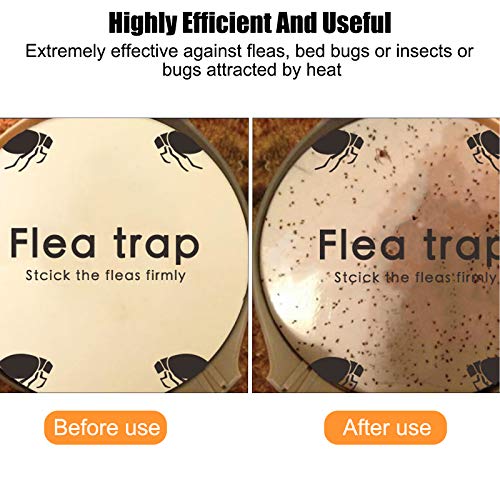Detail Flea Trap Light Bulb Nomer 26