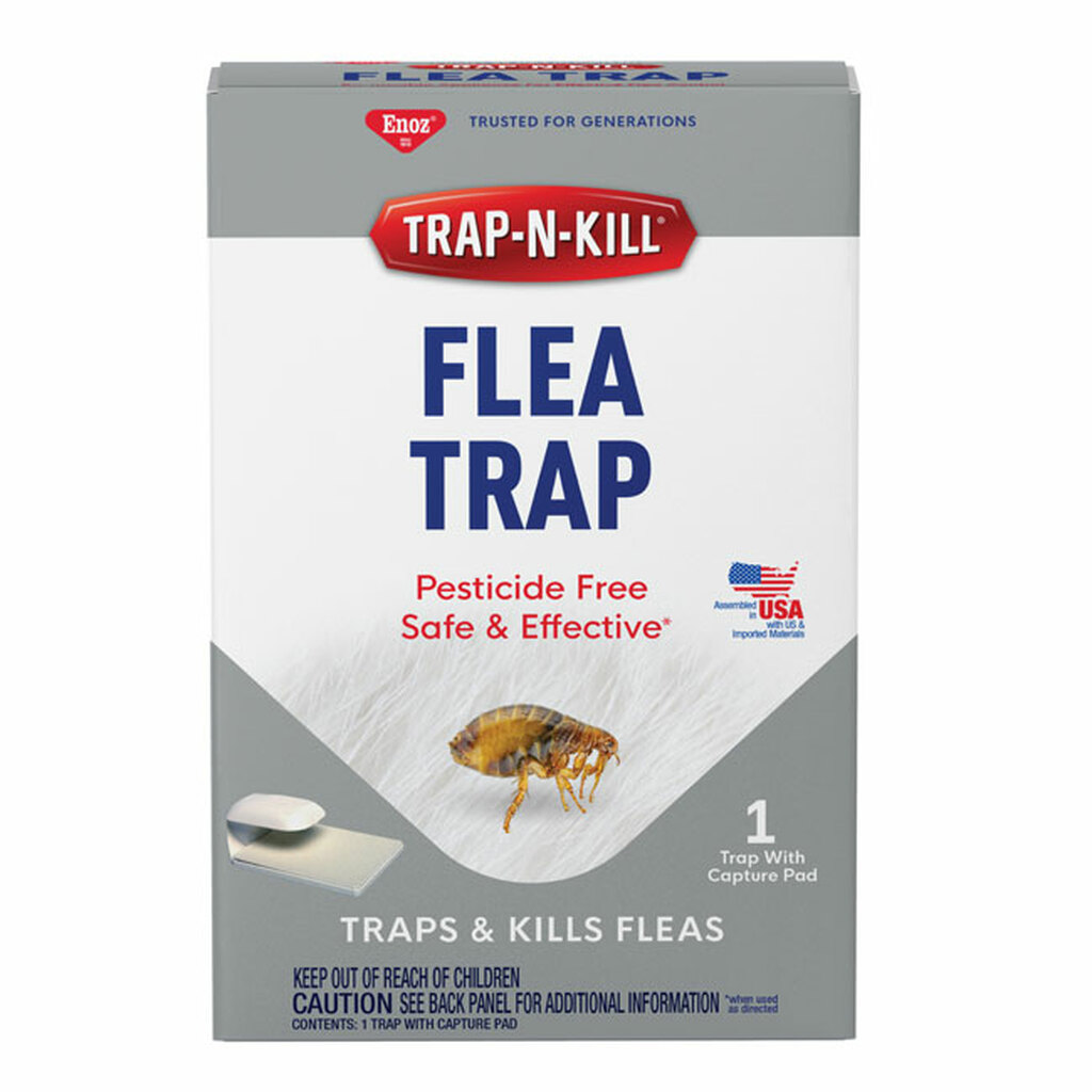 Detail Flea Trap Light Bulb Nomer 31