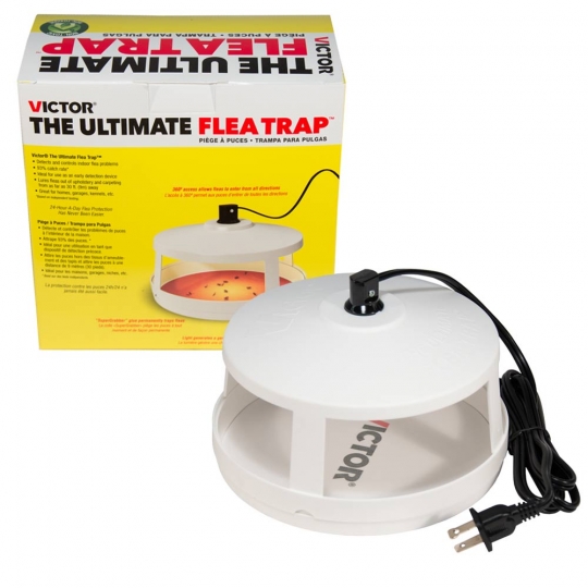 Detail Flea Trap Light Bulb Nomer 5