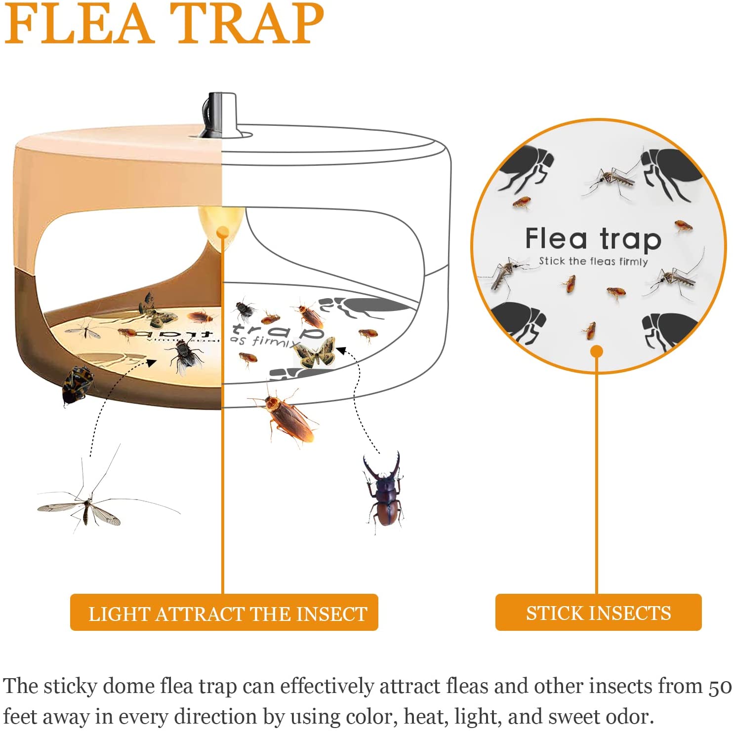 Detail Flea Trap Light Bulb Nomer 39