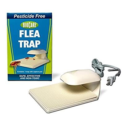 Detail Flea Trap Light Bulb Nomer 40