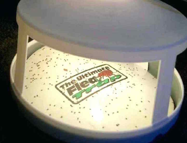 Detail Flea Trap Light Bulb Nomer 48