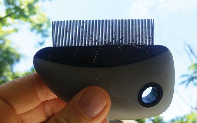 Detail Flea Vacuum Comb Nomer 25