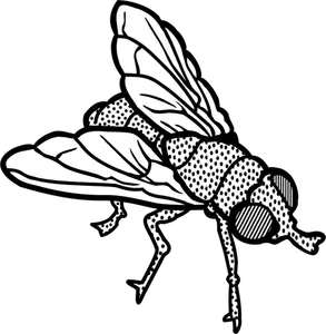 Detail Flies Clipart Nomer 36