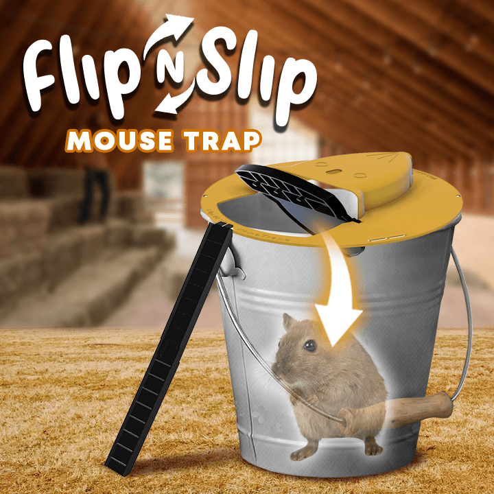 Detail Flip Slide Mouse Trap Nomer 18