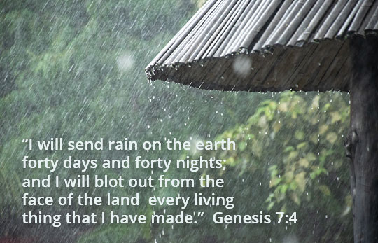 Detail Flood Quotes Bible Nomer 12