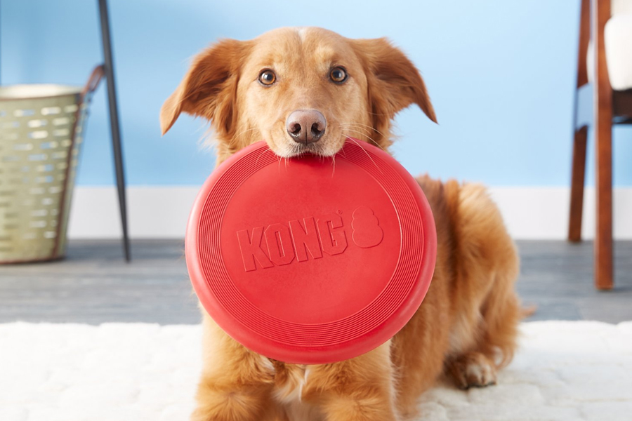 Detail Floppy Frisbee For Dogs Nomer 17