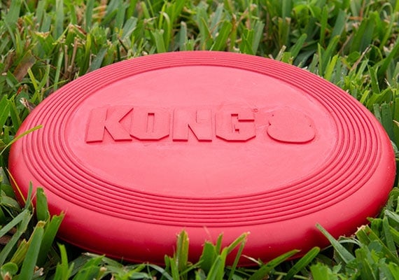 Detail Floppy Frisbee For Dogs Nomer 34