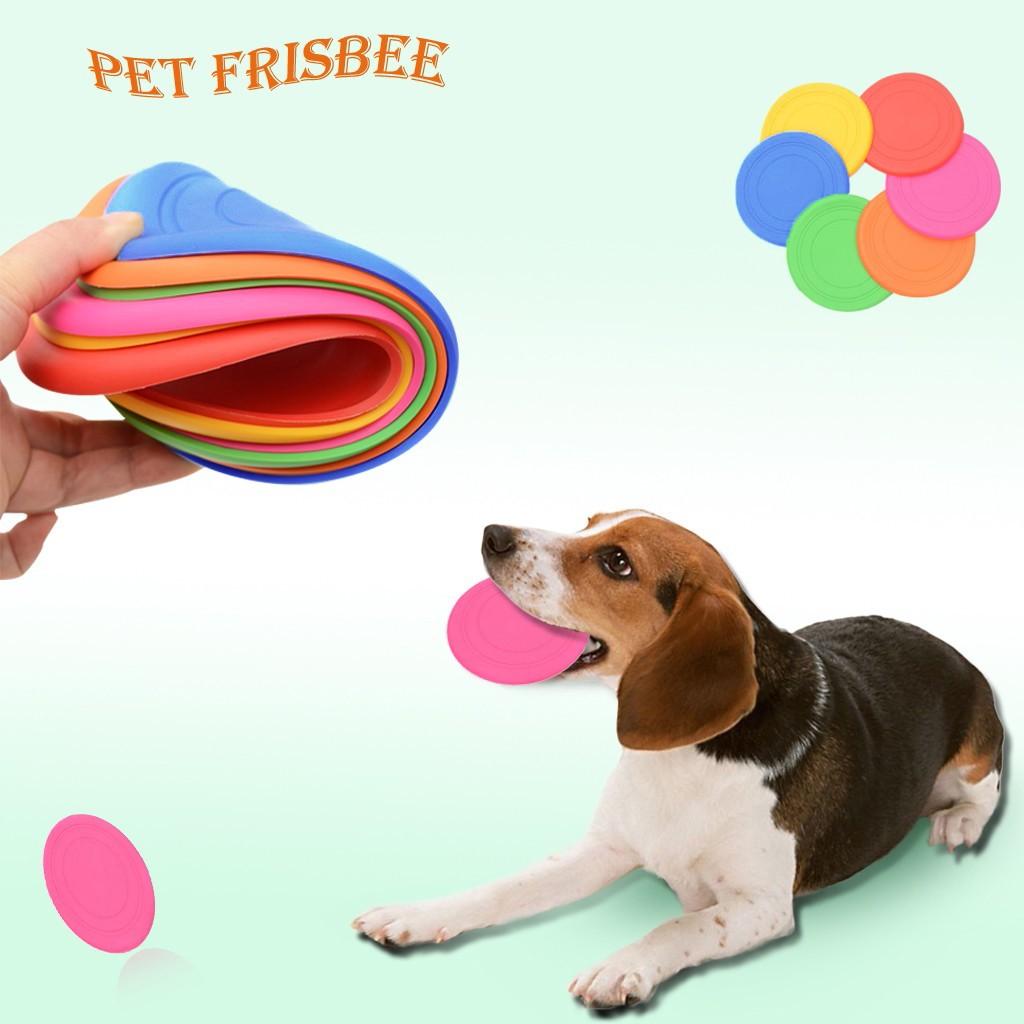 Detail Floppy Frisbee For Dogs Nomer 44