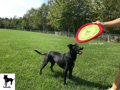 Detail Floppy Frisbee For Dogs Nomer 7