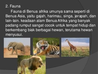 Detail Flora Dan Fauna Di Afrika Nomer 7