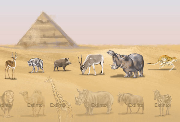 Flora Dan Fauna Di Mesir - KibrisPDR