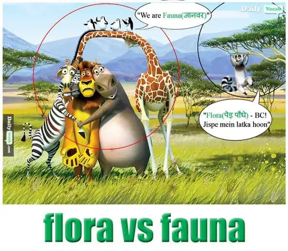 Detail Flora Dan Fauna Gambar Nomer 52